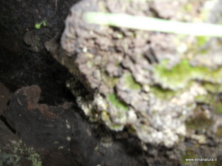 Grotta Acqua Vitale
